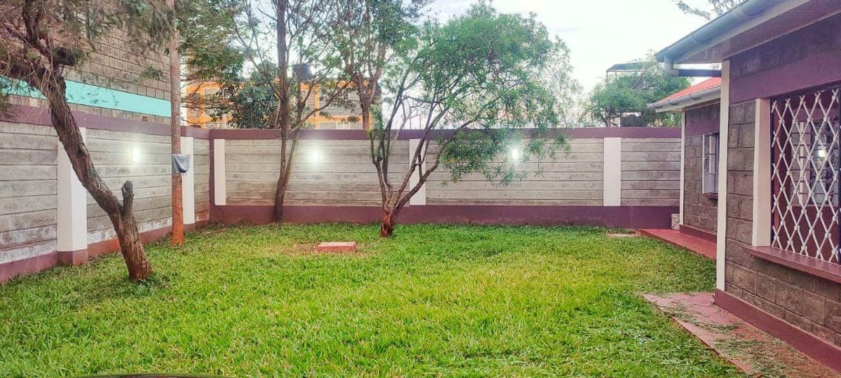 Backyard at night